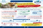 بیشترین موارد حیوان‌گزیدگی در رفسنجان مربوط به حیوانات خانگی از جمله سگ و گربه است