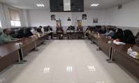 بازدید معاون توسعه مدیریت و منابع دانشگاه علوم پزشکی رفسنجان از شبکه بهداشت و درمان انار 