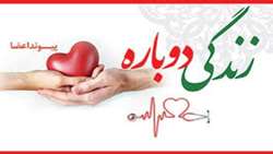 بانوی۳۵ساله رفسنجانی به سه بیمار نیازمند عضوزندگی بخشید