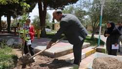 کاشت نهال به نام فرزندان والدین دارای چهار فرزند در ستاد مرکزی 