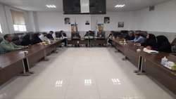 بازدید معاون توسعه مدیریت و منابع دانشگاه علوم پزشکی رفسنجان از شبکه بهداشت و درمان انار 